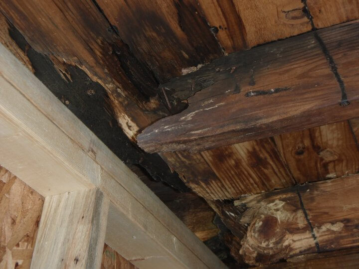 home inspection wood rot framing
