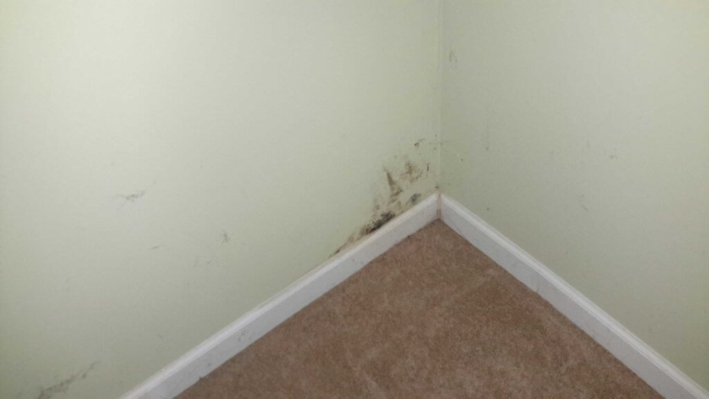 Walls, Ceilings, and Floors Certified Home Inspections of Valparaiso